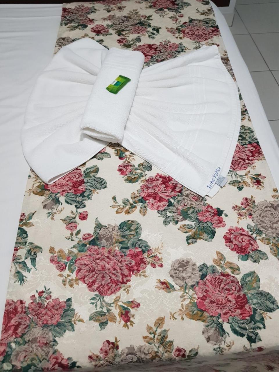 Euro Plaza Hotel - Proximo Ao Aeroporto De Goiania, Santa Genoveva Exteriör bild